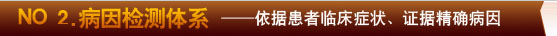 NO.2��������ϵ