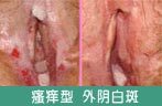 ͼƬ������....